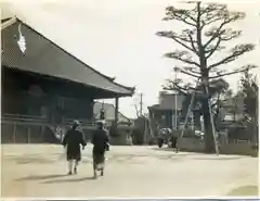 津観音の建物その他