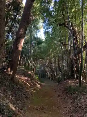 面足神社の自然