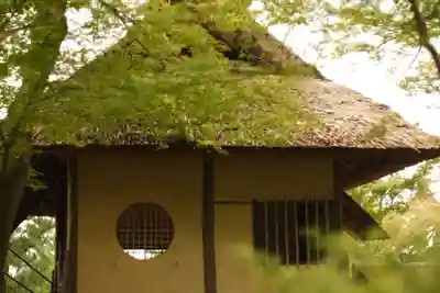 高台寺（高台寿聖禅寺・高臺寺）(京都府)