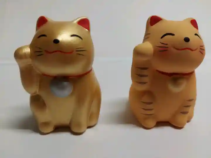 野中寺の{uncategorized: "未分類", other: "その他", undefined: "問題あり", building: "その他建物", grave: "お墓", sacred_gate: "鳥居", guardian: "狛犬", statue: "像", buddha: "仏像", history: "歴史", nature: "自然", garden: "庭園", animal: "動物", pagoda: "塔", temizu: "手水舎", mountain_gate: "山門・神門", sanctuary: "本殿・本堂", subordinate: "末社・摂社", art: "芸術", scenery: "景色", jizo: "地蔵", ema: "絵馬", goshuin: "御朱印", omikuji: "おみくじ", items: "授与品その他", amulet: "お守り", goshuincho: "御朱印帳", eats: "食事", festival: "お祭り", votive_dance: "神楽", shichigosan: "七五三参", wedding: "結婚式", experience: "体験その他", initially: "初詣", around: "周辺", anti_infection: "感染症対策"}