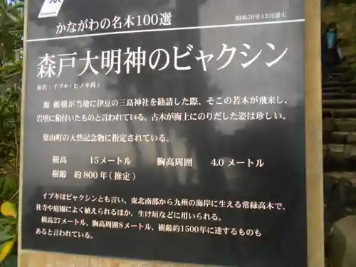 森戸大明神（森戸神社）の歴史