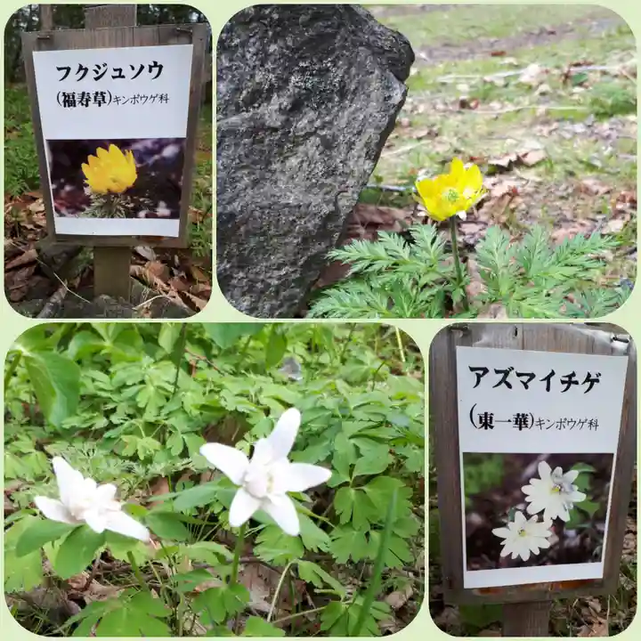 有珠善光寺の自然