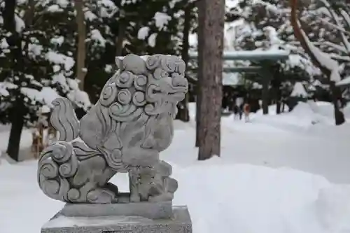 琴似神社の狛犬