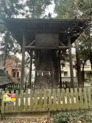大和田氷川神社の{uncategorized: "未分類", other: "その他", undefined: "問題あり", building: "その他建物", grave: "お墓", sacred_gate: "鳥居", guardian: "狛犬", statue: "像", buddha: "仏像", history: "歴史", nature: "自然", garden: "庭園", animal: "動物", pagoda: "塔", temizu: "手水舎", mountain_gate: "山門・神門", sanctuary: "本殿・本堂", subordinate: "末社・摂社", art: "芸術", scenery: "景色", jizo: "地蔵", ema: "絵馬", goshuin: "御朱印", omikuji: "おみくじ", items: "授与品その他", amulet: "お守り", goshuincho: "御朱印帳", eats: "食事", festival: "お祭り", votive_dance: "神楽", shichigosan: "七五三参", wedding: "結婚式", experience: "体験その他", initially: "初詣", around: "周辺", anti_infection: "感染症対策"}