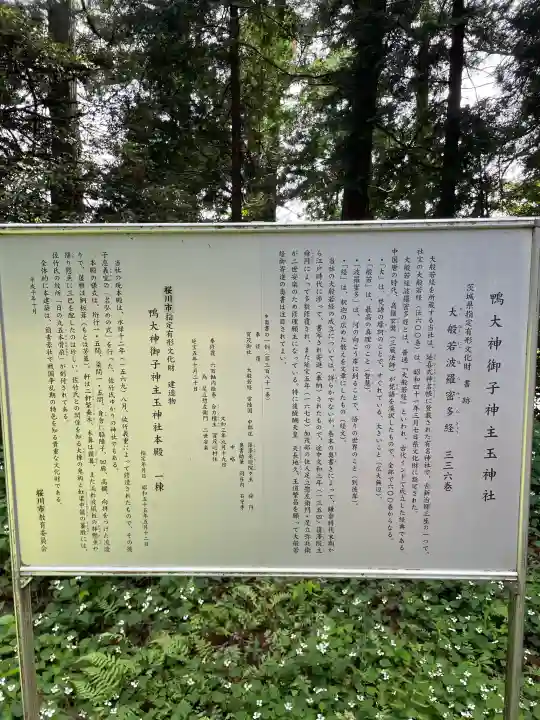 鴨大神御子神主玉神社(茨城県)