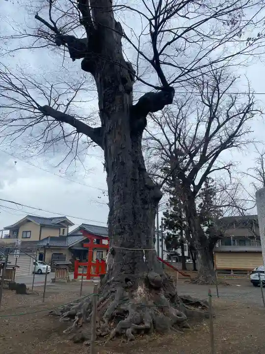 科野大宮社(長野県)