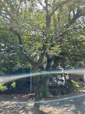 海蔵寺(神奈川県)