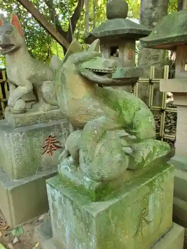 渋谷氷川神社の狛犬