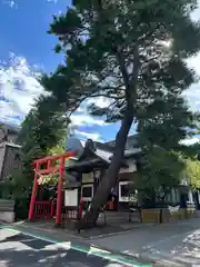 猿田彦神社(東京都)