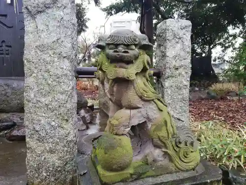 菊田神社の狛犬