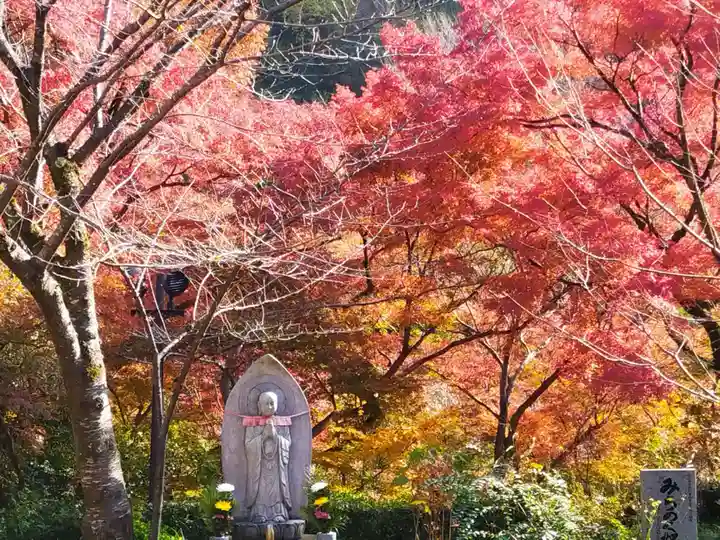 清水寺(京都府)