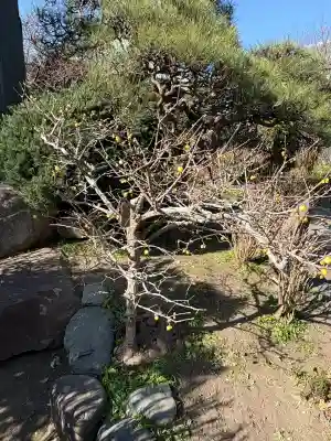 本覚寺の{uncategorized: "未分類", other: "その他", undefined: "問題あり", building: "その他建物", grave: "お墓", sacred_gate: "鳥居", guardian: "狛犬", statue: "像", buddha: "仏像", history: "歴史", nature: "自然", garden: "庭園", animal: "動物", pagoda: "塔", temizu: "手水舎", mountain_gate: "山門・神門", sanctuary: "本殿・本堂", subordinate: "末社・摂社", art: "芸術", scenery: "景色", jizo: "地蔵", ema: "絵馬", goshuin: "御朱印", omikuji: "おみくじ", items: "授与品その他", amulet: "お守り", goshuincho: "御朱印帳", eats: "食事", festival: "お祭り", votive_dance: "神楽", shichigosan: "七五三参", wedding: "結婚式", experience: "体験その他", initially: "初詣", around: "周辺", anti_infection: "感染症対策"}