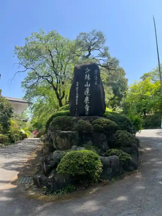 達磨寺(群馬県)