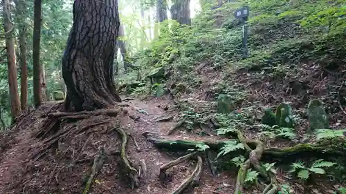 修那羅山安宮神社の自然