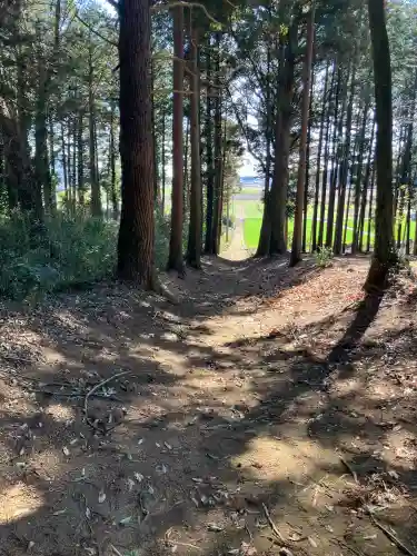 住吉四所神社の{uncategorized: "未分類", other: "その他", undefined: "問題あり", building: "その他建物", grave: "お墓", sacred_gate: "鳥居", guardian: "狛犬", statue: "像", buddha: "仏像", history: "歴史", nature: "自然", garden: "庭園", animal: "動物", pagoda: "塔", temizu: "手水舎", mountain_gate: "山門・神門", sanctuary: "本殿・本堂", subordinate: "末社・摂社", art: "芸術", scenery: "景色", jizo: "地蔵", ema: "絵馬", goshuin: "御朱印", omikuji: "おみくじ", items: "授与品その他", amulet: "お守り", goshuincho: "御朱印帳", eats: "食事", festival: "お祭り", votive_dance: "神楽", shichigosan: "七五三参", wedding: "結婚式", experience: "体験その他", initially: "初詣", around: "周辺", anti_infection: "感染症対策"}