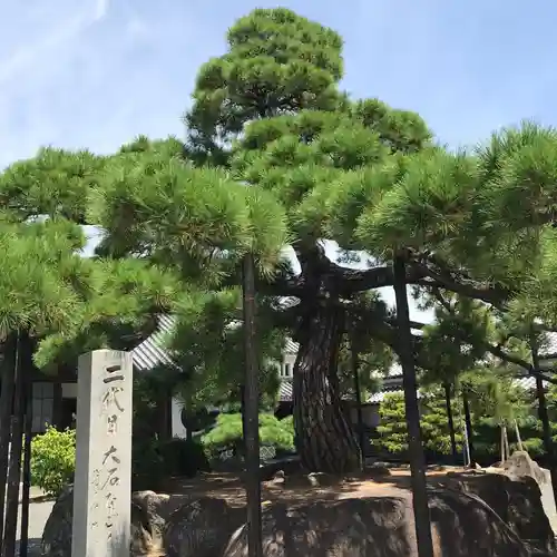 花岳寺の庭園