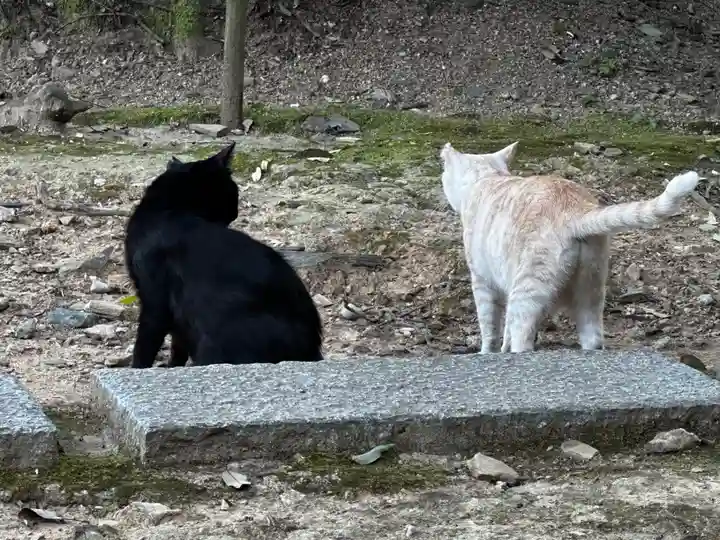 王子神社(徳島県)