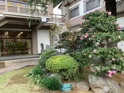 最上寺(東京都)