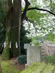 安住神社の建物その他