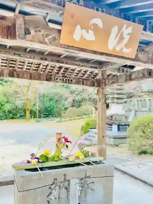 正法寺の{uncategorized: "未分類", other: "その他", undefined: "問題あり", building: "その他建物", grave: "お墓", sacred_gate: "鳥居", guardian: "狛犬", statue: "像", buddha: "仏像", history: "歴史", nature: "自然", garden: "庭園", animal: "動物", pagoda: "塔", temizu: "手水舎", mountain_gate: "山門・神門", sanctuary: "本殿・本堂", subordinate: "末社・摂社", art: "芸術", scenery: "景色", jizo: "地蔵", ema: "絵馬", goshuin: "御朱印", omikuji: "おみくじ", items: "授与品その他", amulet: "お守り", goshuincho: "御朱印帳", eats: "食事", festival: "お祭り", votive_dance: "神楽", shichigosan: "七五三参", wedding: "結婚式", experience: "体験その他", initially: "初詣", around: "周辺", anti_infection: "感染症対策"}