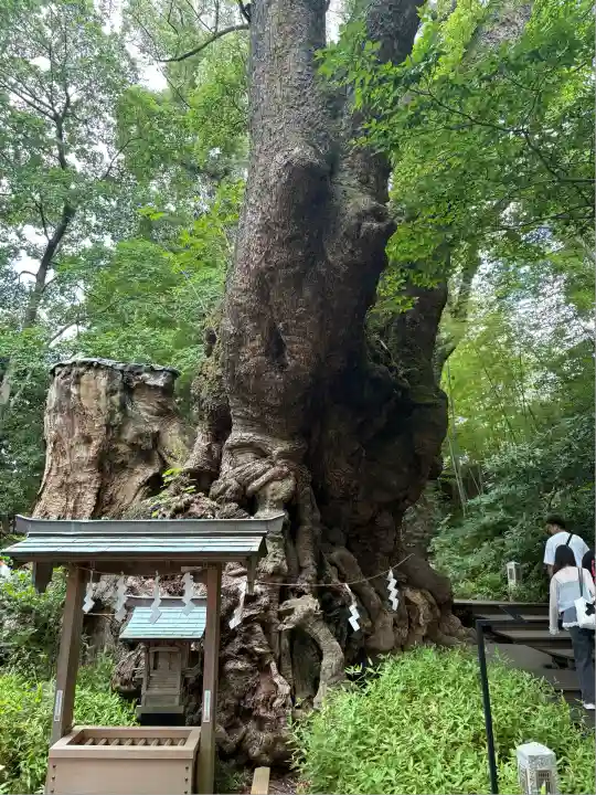 來宮神社(静岡県)