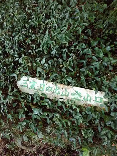 愛宕神社の自然