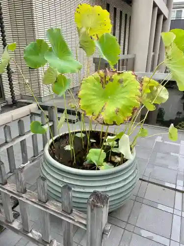 泉龍寺別院(東京都)