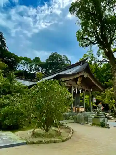 宝満宮竈門神社の本殿