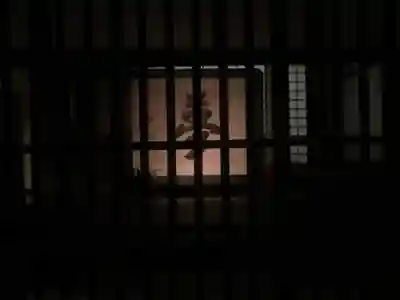 高台寺（高台寿聖禅寺・高臺寺）のその他建物