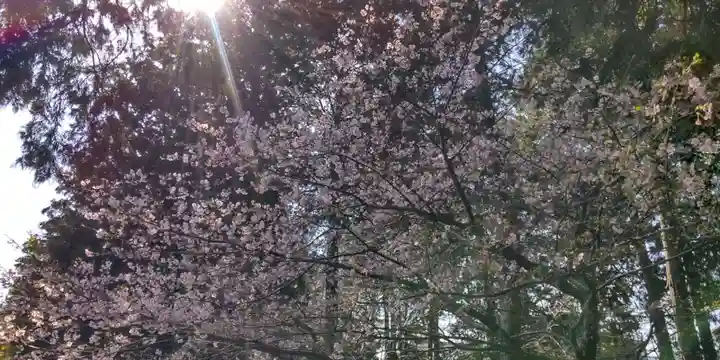 浅間神社(神奈川県)