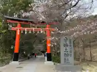宇治上神社の鳥居