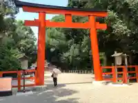 賀茂御祖神社(下鴨神社)の鳥居