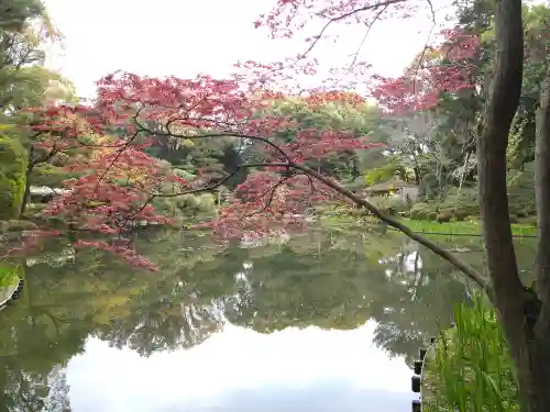 平安神宮の庭園