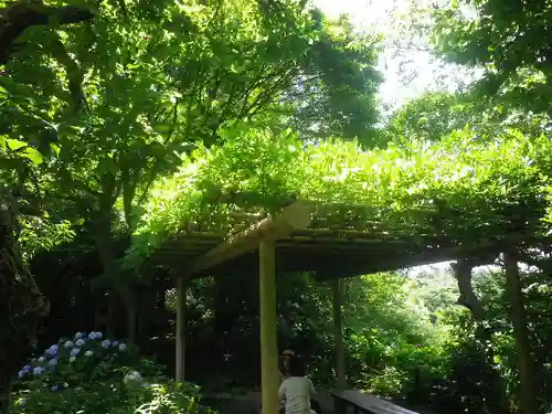 瑞泉寺の庭園