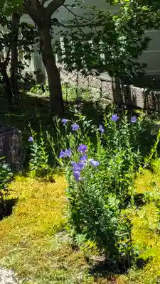 廬山寺(廬山天台講寺)(京都府)