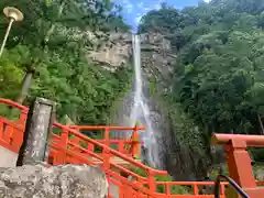 飛瀧神社（熊野那智大社別宮）の自然