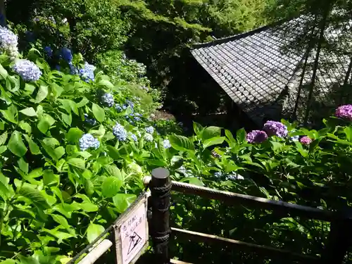 長谷寺のその他建物