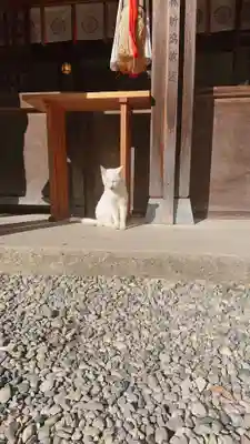 伊佐須美神社(福島県)