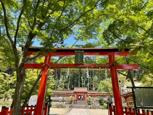 大原野神社の鳥居