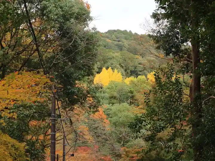 今熊野観音寺の自然
