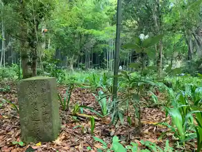 円薬寺(千葉県)