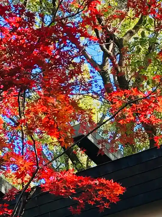 田無神社の庭園