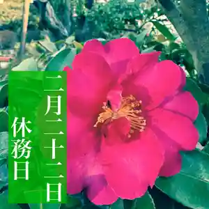 豊景神社(福島県)(2023年02月22日(水) 06時30分08秒投稿)