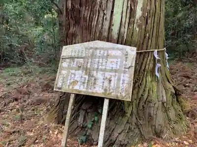 丸郷神社の自然