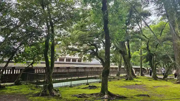 出雲大社(島根県)