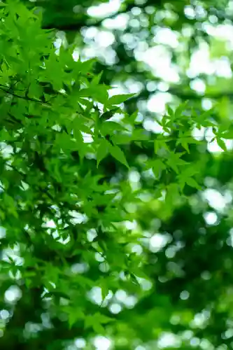 新田神社(鹿児島県)