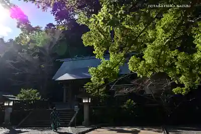 安房神社(千葉県)