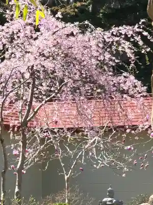 余市神社の{uncategorized: "未分類", other: "その他", undefined: "問題あり", building: "その他建物", grave: "お墓", sacred_gate: "鳥居", guardian: "狛犬", statue: "像", buddha: "仏像", history: "歴史", nature: "自然", garden: "庭園", animal: "動物", pagoda: "塔", temizu: "手水舎", mountain_gate: "山門・神門", sanctuary: "本殿・本堂", subordinate: "末社・摂社", art: "芸術", scenery: "景色", jizo: "地蔵", ema: "絵馬", goshuin: "御朱印", omikuji: "おみくじ", items: "授与品その他", amulet: "お守り", goshuincho: "御朱印帳", eats: "食事", festival: "お祭り", votive_dance: "神楽", shichigosan: "七五三参", wedding: "結婚式", experience: "体験その他", initially: "初詣", around: "周辺", anti_infection: "感染症対策"}