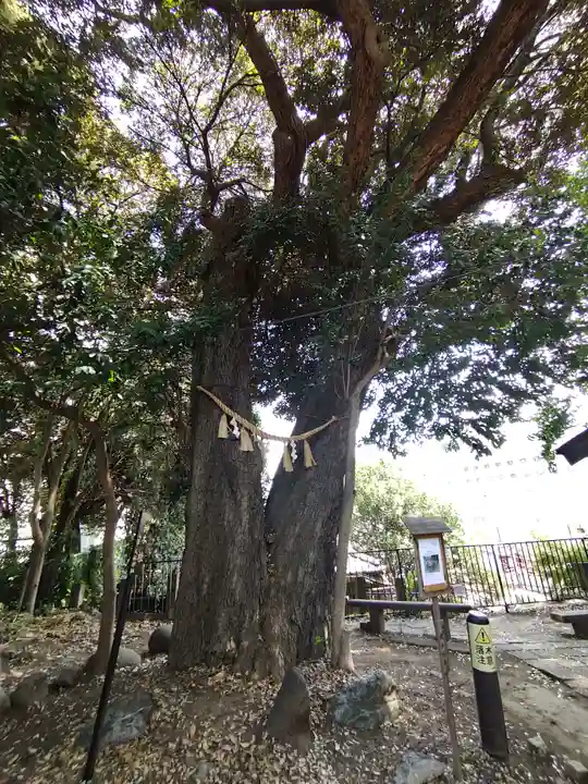 八景天祖神社(東京都)