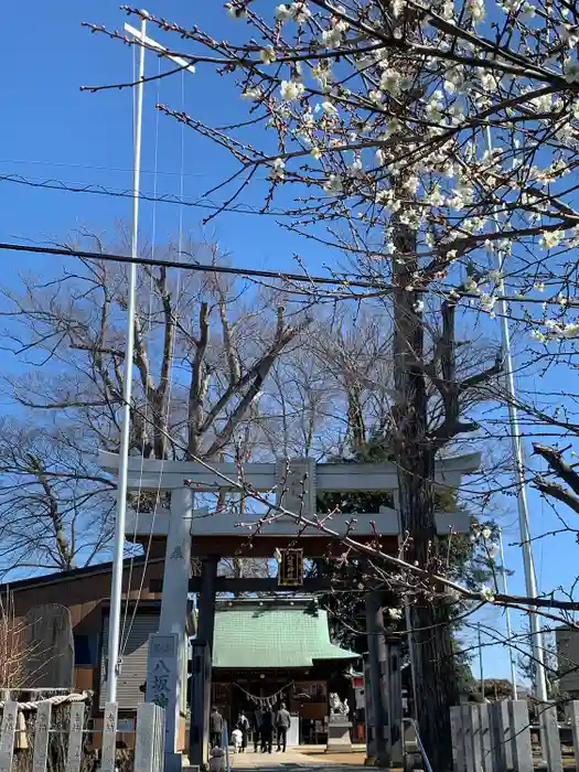 守谷総鎮守 八坂神社の鳥居